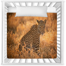 Leopard At Sunset Nursery Decor 62081952