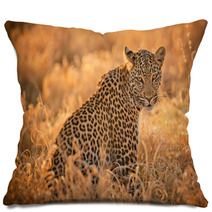 Leopard At Sunset Pillows 62081952