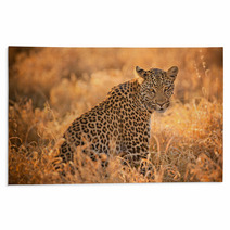 Leopard At Sunset Rugs 62081952