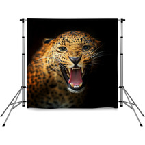 Leopard Backdrops 48212146