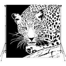 Leopard Backdrops 60144280