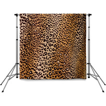 Leopard Background Backdrops 54281136
