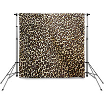 Leopard Background Backdrops 75750373