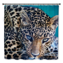 Leopard Bath Decor 62305034