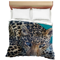 Leopard Bedding 62305034