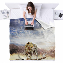 Leopard Blankets 17519088
