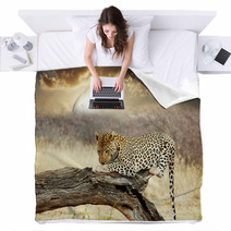 Leopard Blankets 41251852