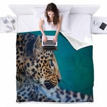 Leopard Blankets 42564894