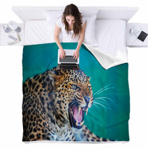 Leopard Blankets 50365281