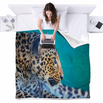 Leopard Blankets 51814911