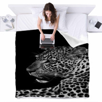 Leopard Blankets 52514649