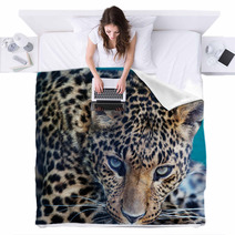 Leopard Blankets 62305034