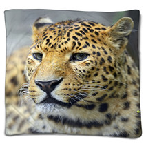 Leopard Blankets 66267590