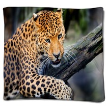 Leopard Blankets 66888479