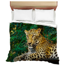 Leopard Cat Bedding 3031815