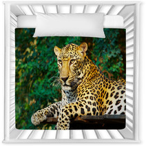 Leopard Cat Nursery Decor 3031815