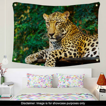 Leopard Cat Wall Art 3031815