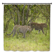 Leopard In Masai Mara Bath Decor 50208561