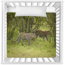 Leopard In Masai Mara Nursery Decor 50208561