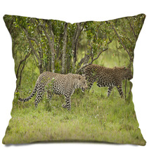 Leopard In Masai Mara Pillows 50208561