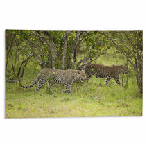 Leopard In Masai Mara Rugs 50208561