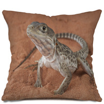 Leopard Lizard / Gambelia Wislizenii Pillows 44208047