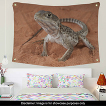 Leopard Lizard / Gambelia Wislizenii Wall Art 44208047