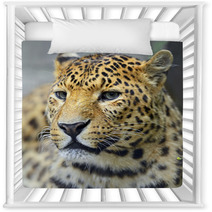 Leopard Nursery Decor 66267590