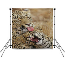 Leopard Nurture  Baby Backdrops 7285320