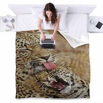 Leopard Nurture  Baby Blankets 7285320