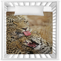Leopard Nurture  Baby Nursery Decor 7285320