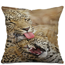 Leopard Nurture  Baby Pillows 7285320