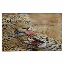 Leopard Nurture  Baby Rugs 7285320