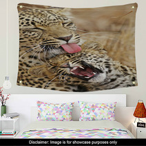 Leopard Nurture  Baby Wall Art 7285320