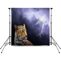 Leopard  On The Dark Sky With Lightning Backdrops 15890428
