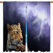 Leopard  On The Dark Sky With Lightning Window Curtains 15890428