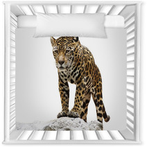 Leopard On The Rock Nursery Decor 55051445