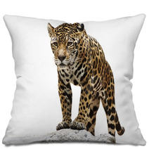 Leopard On The Rock Pillows 55051445
