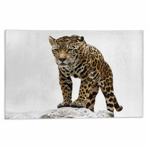 Leopard On The Rock Rugs 55051445