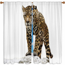 Leopard On The Rock Window Curtains 55051445