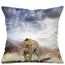 Leopard Pillows 17519088