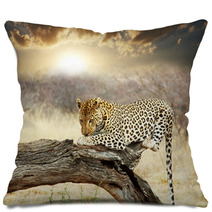 Leopard Pillows 41251852