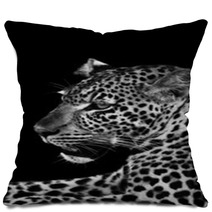 Leopard Pillows 52514649