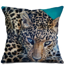 Leopard Pillows 62305034