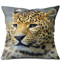 Leopard Pillows 66267590