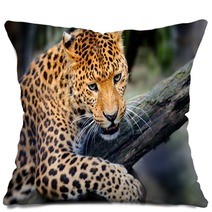 Leopard Pillows 66888479