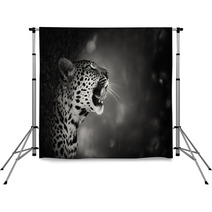 Leopard Portrait Backdrops 52783556