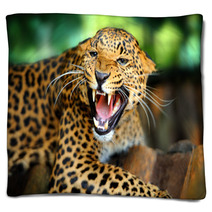 Leopard Portrait Blankets 43990990