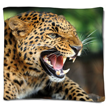 Leopard Portrait Blankets 43990993