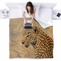 Leopard Portrait Blankets 68010907